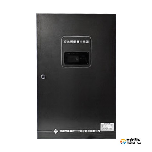 云南海灣SJ-D-0.6KVA/P601AC應急照明集中電源 4回路 壁掛式